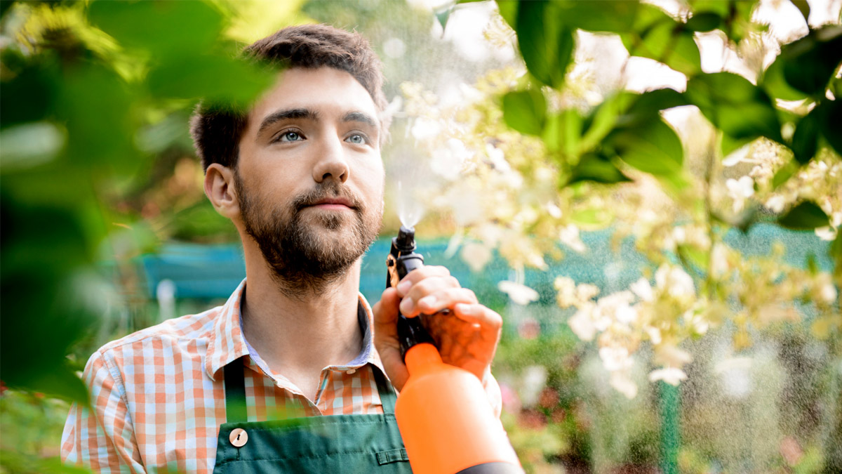 « Cette astuce au savon noir a éliminé tous les moucherons de mon jardin »