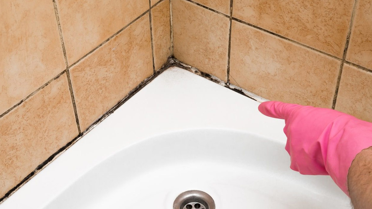 « Terminé les heures de récurage : la méthode naturelle qui fait disparaître les joints noirs de la salle de bain »