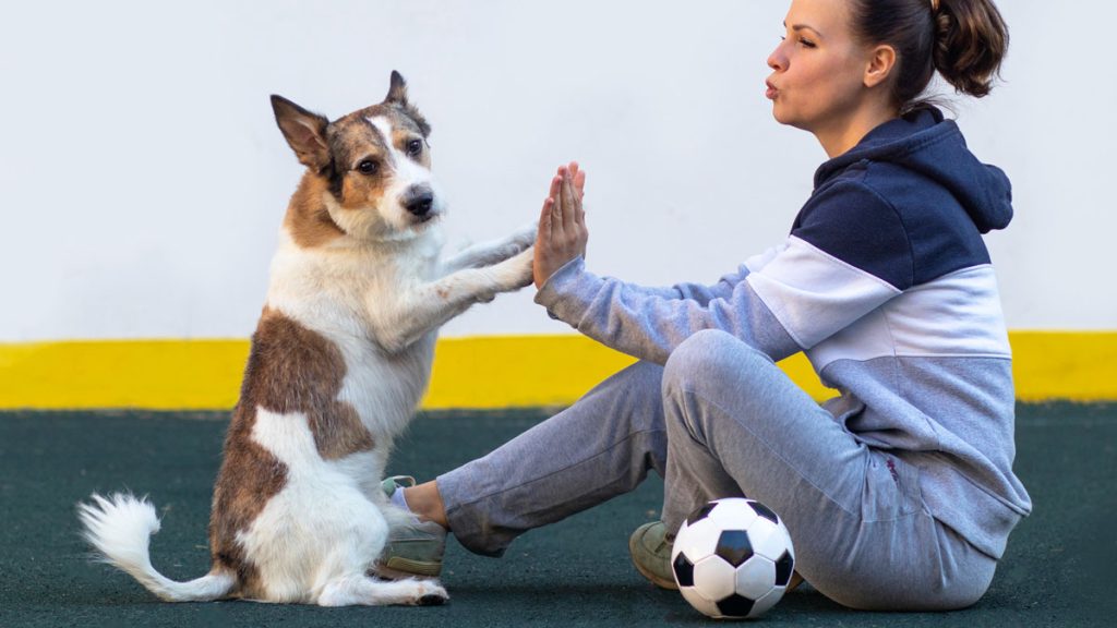 Le chien, un allié pour rester actif au quotidien