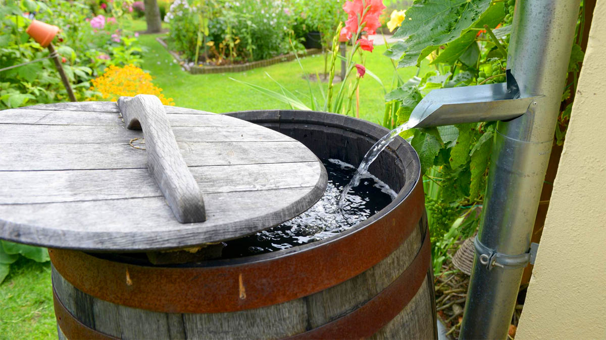 Récupérateur d’eau : les mairies renforcent les sanctions contre les Français qui ne respectent pas cette règle