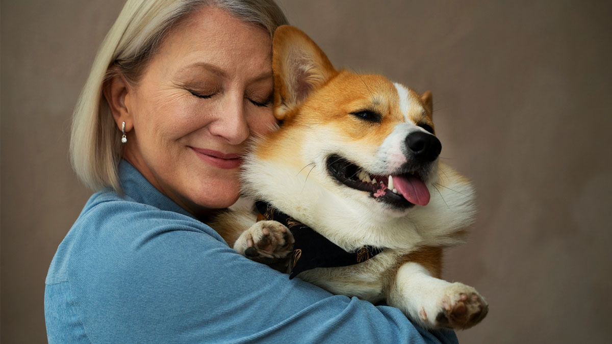 Adopter un chien à la SPA : jusqu’à quel âge est-ce possible pour les seniors ?