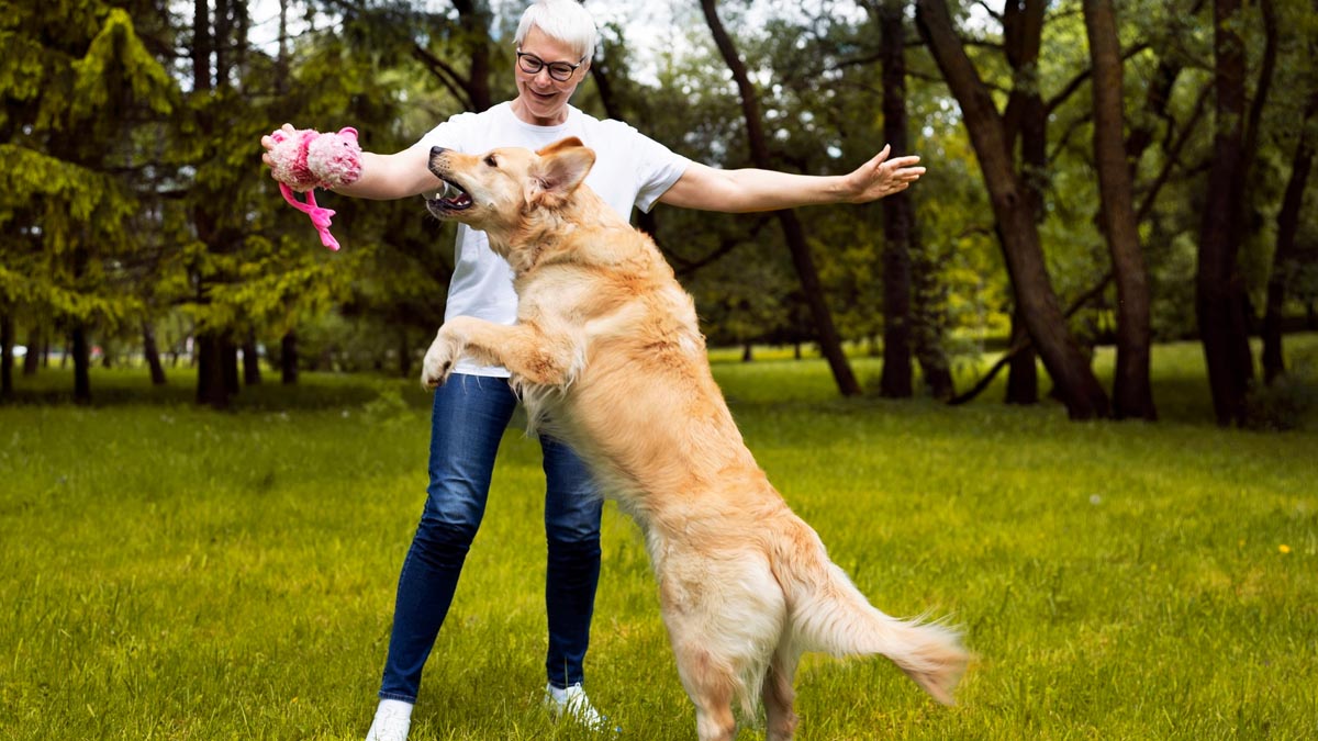 Considérer son chien comme un enfant : les explications d’un psychologue