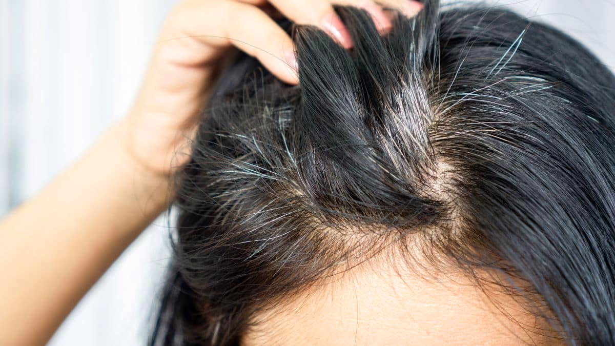 Fini les teintures chimiques ! Cette plante élimine les cheveux gris en seulement 15 minutes