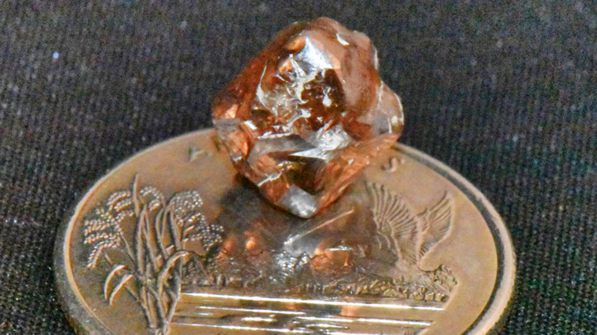 Coup de théâtre : il devient millionnaire après avoir trouvé un diamant de 7,46 carats dans un parc national