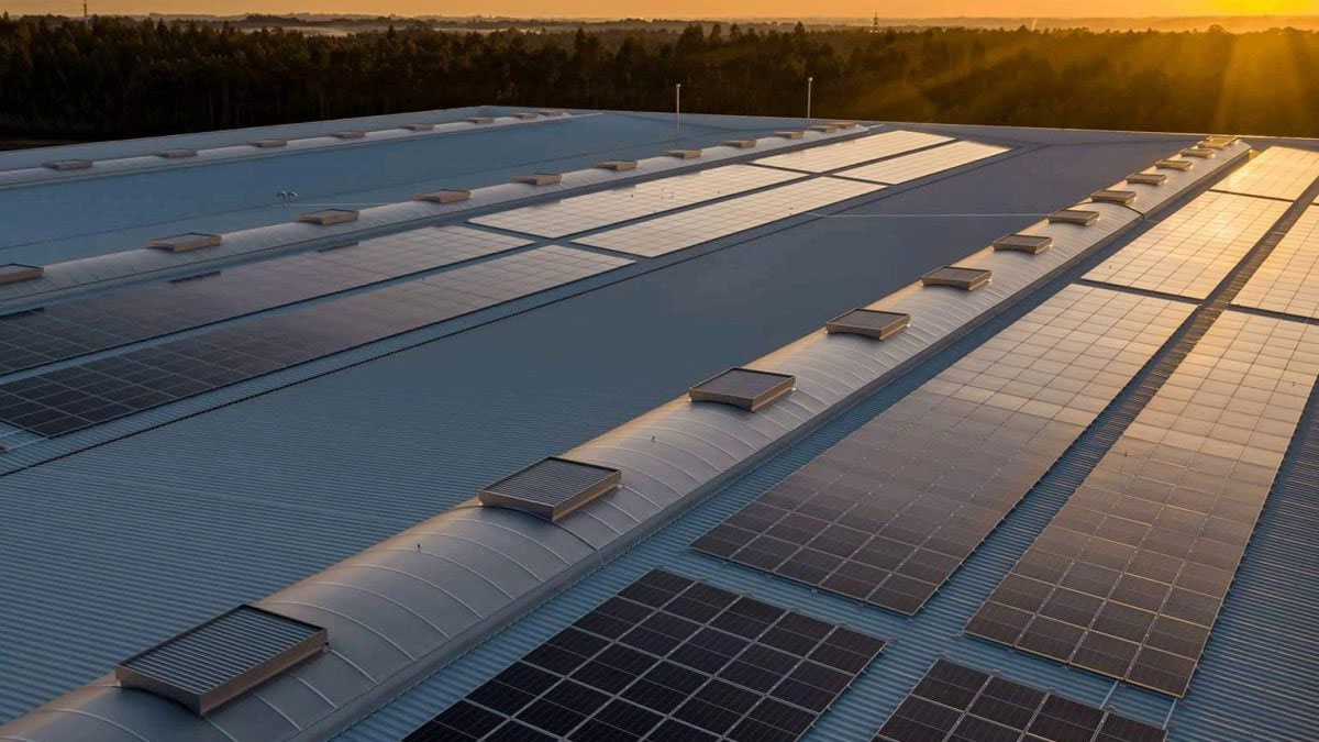 L’essor des énergies renouvelables provoque un effet inattendu en Europe : l’électricité trop bon marché