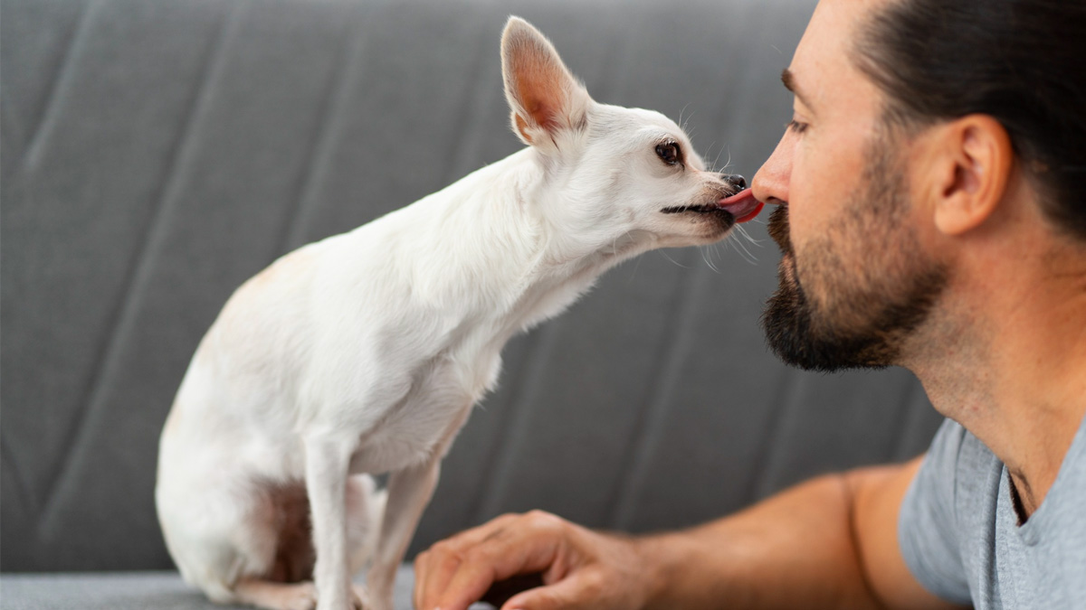Quand votre chien vous lèche partout, voici ce qu’il essaie vraiment de vous dire selon un vétérinaire
