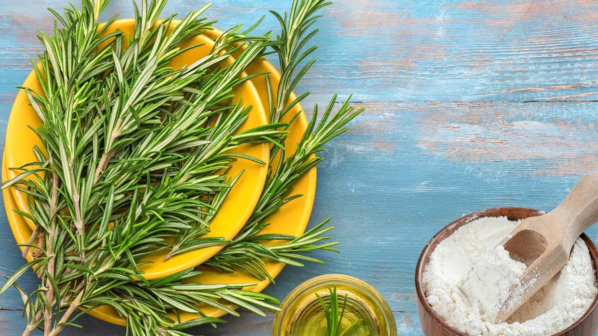 Romarin et bicarbonate : pourquoi ce duo naturel fait l’unanimité chez les experts ?
