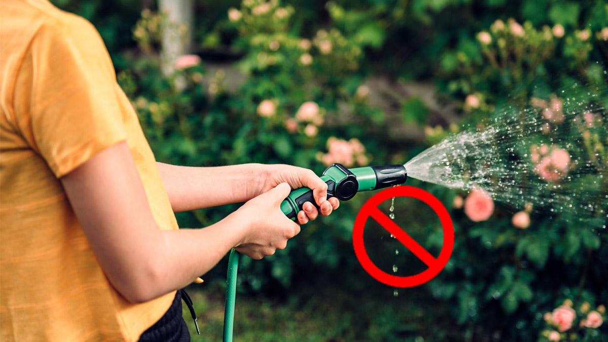 C’est officiel : arroser son jardin à ces horaires est désormais interdit dans ces départements