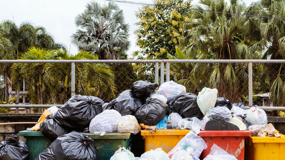 Coup de théâtre : dans cette collectivité, les agents fouillent et ignorent les poubelles mal triées