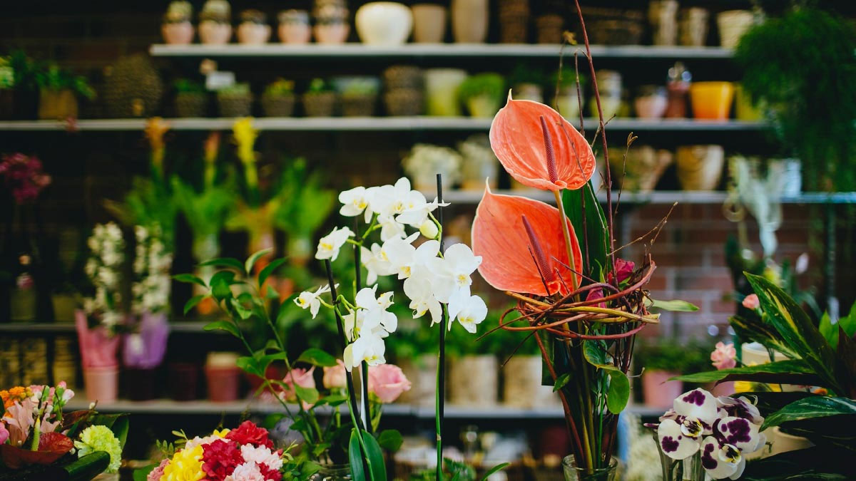Coup dur pour cette enseigne de jardinage : 9 fermetures de magasins annoncées en France