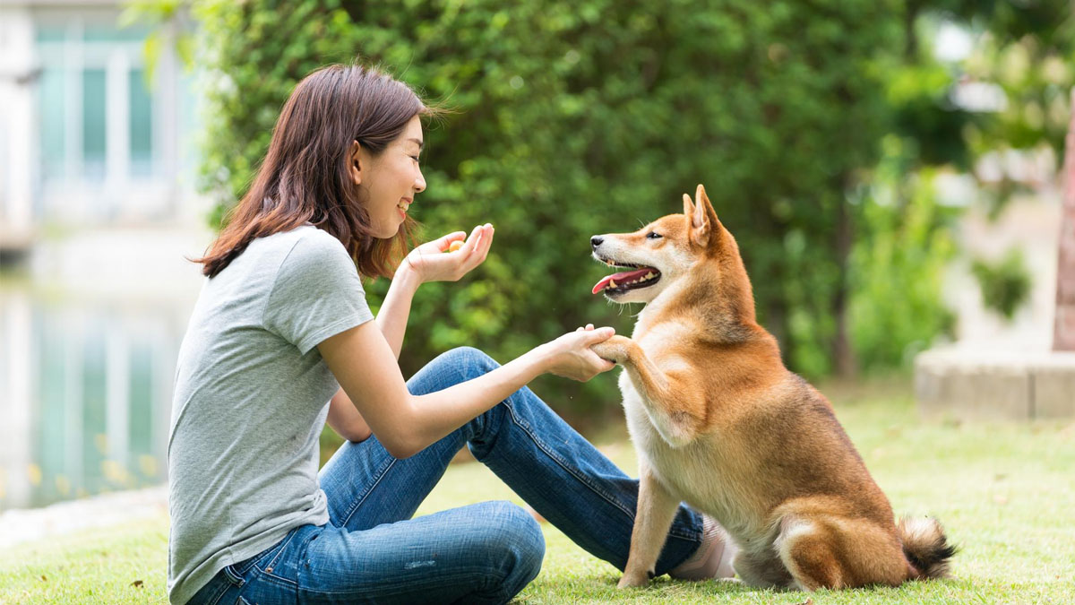 D’après la psychologie, parler à ses animaux comme à des humains révèle 7 traits particuliers
