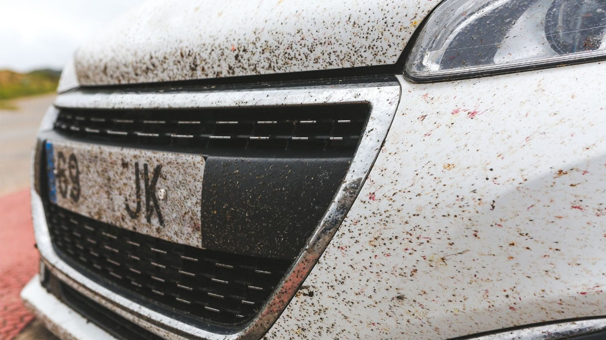 « Grâce à cet objet, j’ai débarrassé ma voiture de tous les insectes – et ça ne m’a rien coûté »