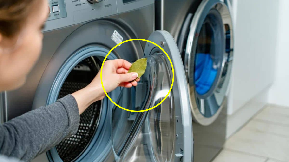 « J’ai essayé les feuilles de laurier dans le lave-linge : mon linge n’a jamais été aussi propre »