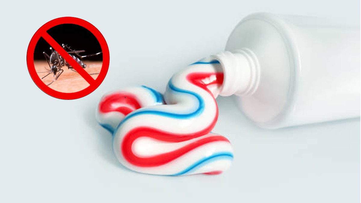« J’ai testé le dentifrice contre les moustiques, et ça marche vraiment ! »