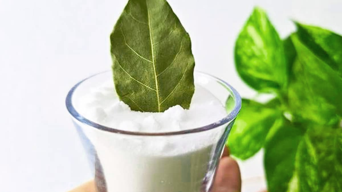 « Je n’y croyais pas, mais le bicarbonate et la feuille de laurier ont résolu mon plus gros problème »