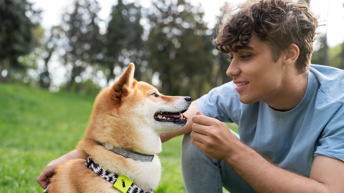 Parler aux chiens : voici ce que cela signifie vraiment, d’après les vétérinaires