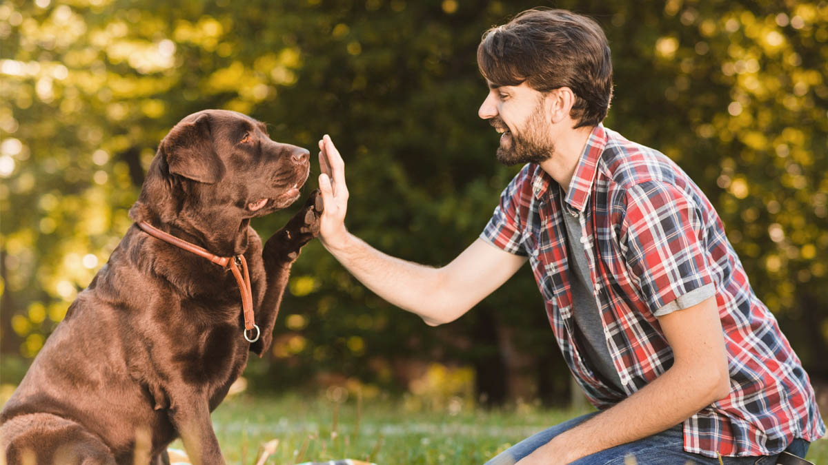 Pourquoi avons-nous tendance à parler à nos animaux comme à des humains ? Les explications d’un psy