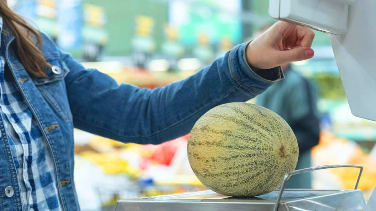 « S’il lui manque ce détail, reposez-le » : voici comment reconnaître un melon mûr et sucré cet été !