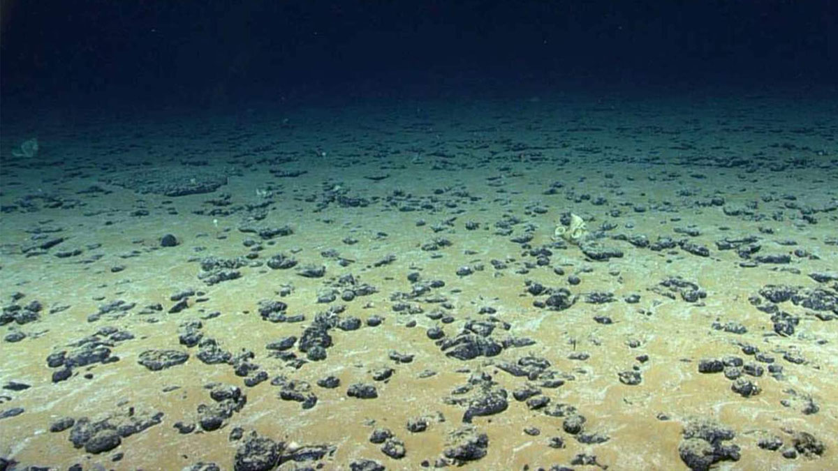 Un trésor colossal sous l’océan : l’Europe révèle la plus grande découverte marine jamais faite