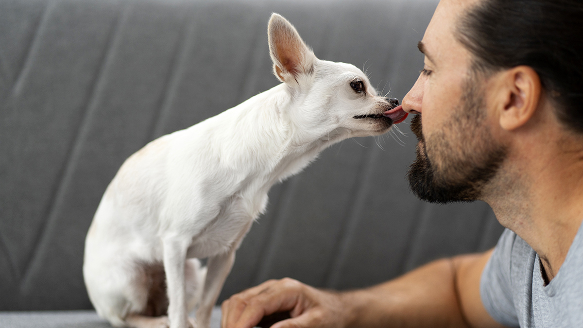Votre chien vous lèche les mains, les pieds ou le visage ? Voici ce que cela signifie selon un vétérinaire