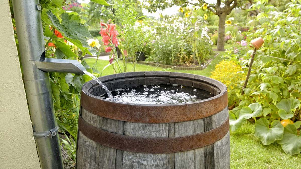 Attention ! Les mairies passent à l’action contre les récupérateurs d’eau mal entretenus