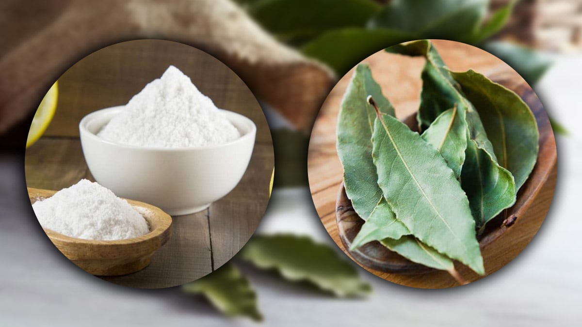 « Ça a changé ma vie » : comment le bicarbonate et le laurier ont réglé un problème domestique récurrent