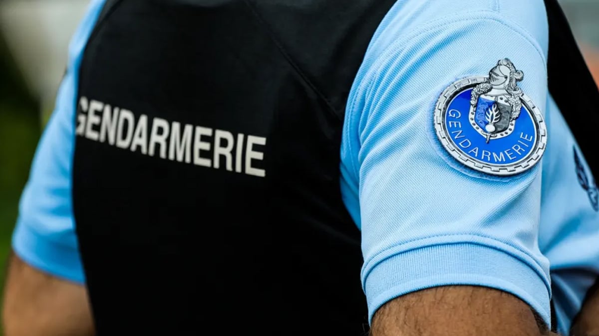 Cet animal est utilisé pour extorquer de l’argent aux passants : une nouvelle arnaque dans le collimateur de la police