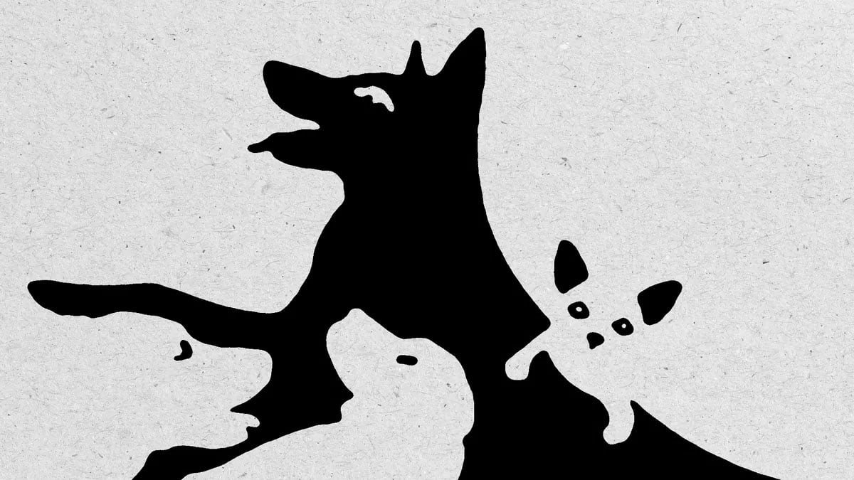 Combien de chiens voyez‑vous ? Le test qui dévoile votre âge mental