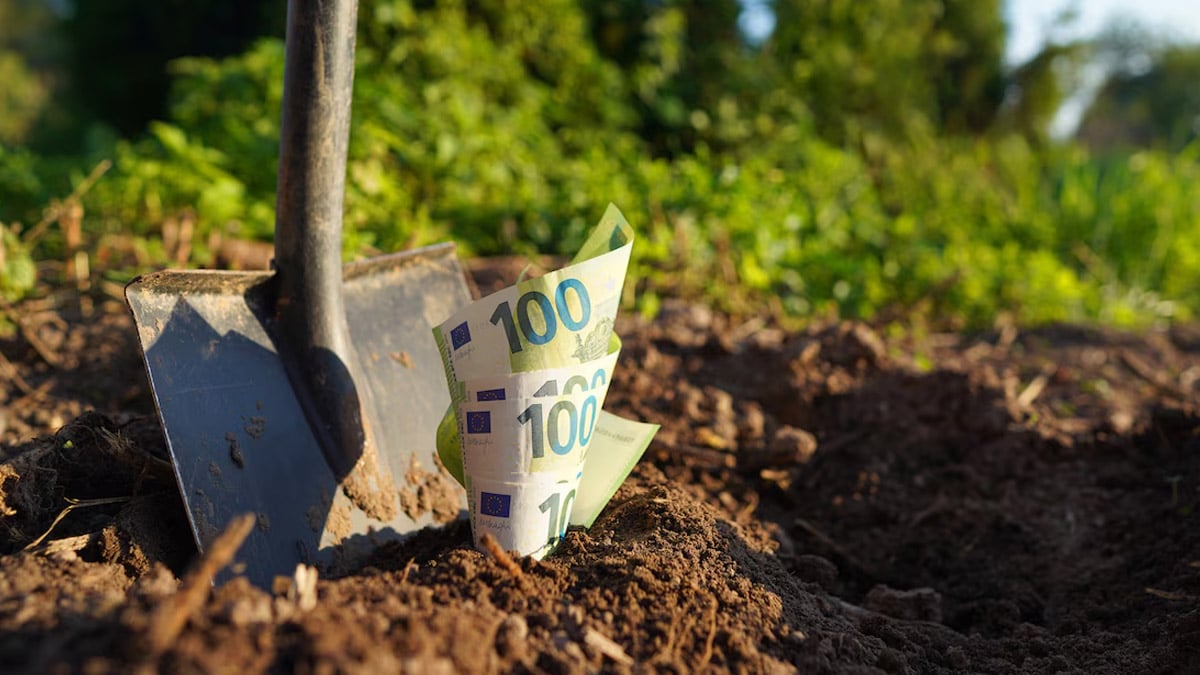 Coup de théâtre : un agriculteur découvre des liasses de billets sous son champ, la Police s’en mêle