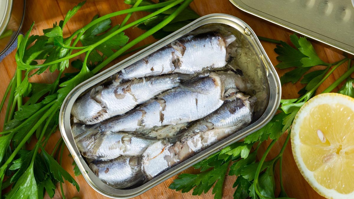 « Il a le même goût que la sardine » : ce poisson bon marché mais méconnu regorge de bienfaits