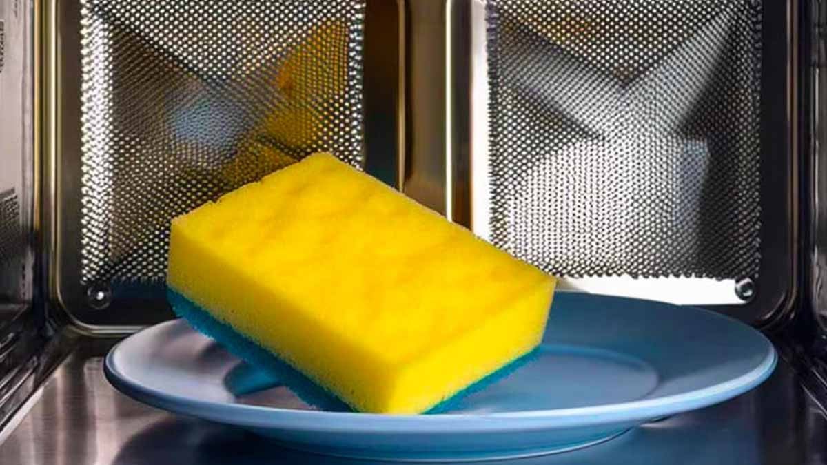 « Je mets toujours une éponge humide au micro-ondes, et voici pourquoi »