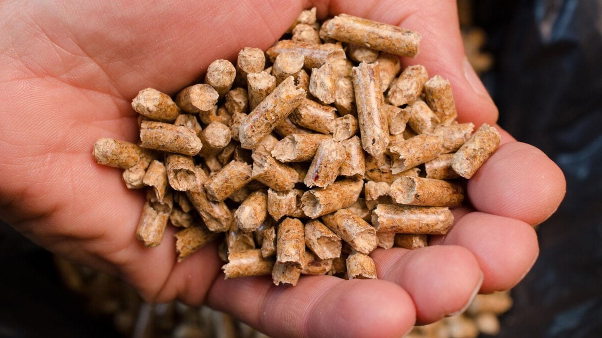 Les pellets qu’ils avaient mis de côté l’hiver dernier sont devenus inutilisables : « On ne s’en doutait pas »