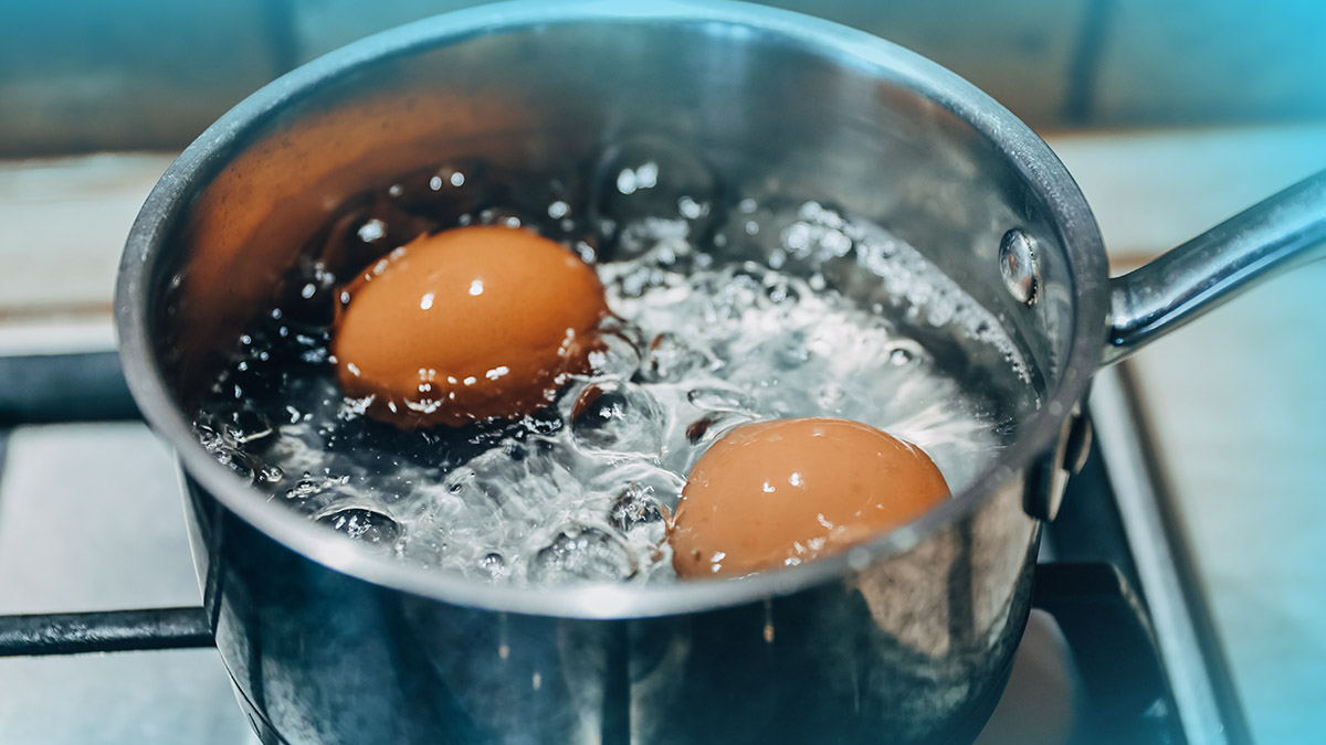 Ne ratez plus vos œufs ! La science explique pourquoi cuire vos œufs dans de l’eau salée fait la différence
