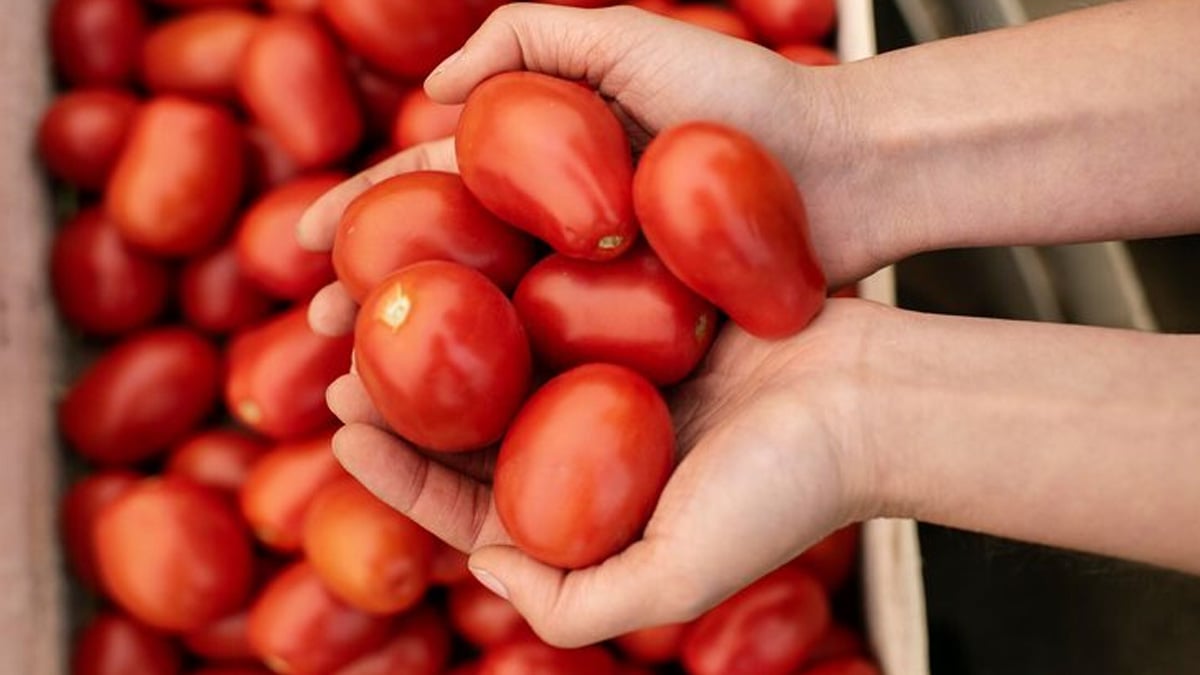 Ni la corbeille à fruits ni le frigo : la meilleure méthode pour conserver vos tomates sans les gâcher