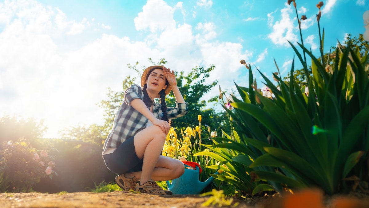 Soleil et chaleur la semaine prochaine : que disent les météorologues ?