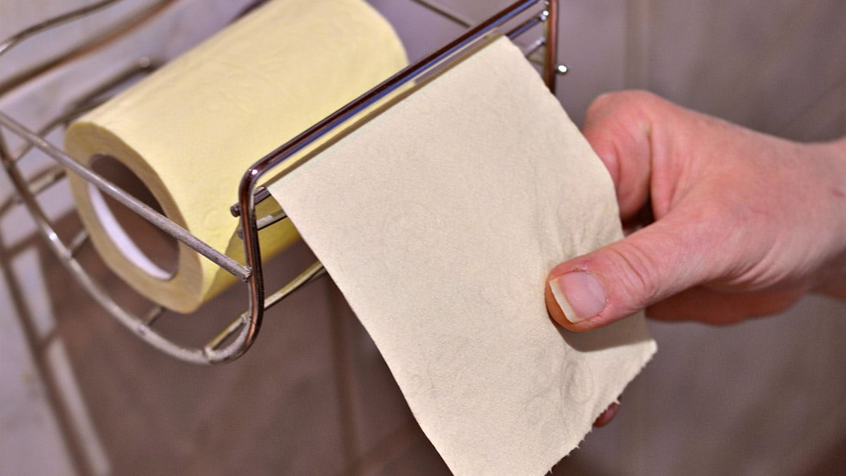 Adieu le papier toilette : l’alternative asiatique qui pourrait débarquer en Europe