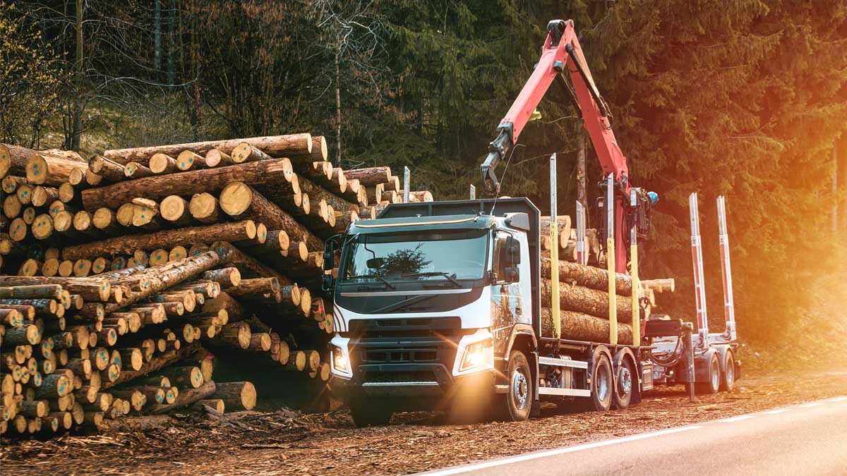 C’est confirmé : voici le prix d’un semi-remorque de bois de chauffage (2 m) en octobre 2025