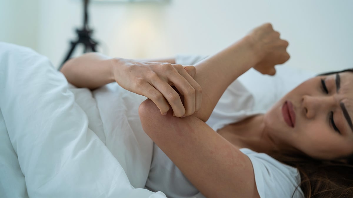 C’est l’automne, pourtant les moustiques persistent : jusqu’à quand vont-ils nous pourrir la vie ?