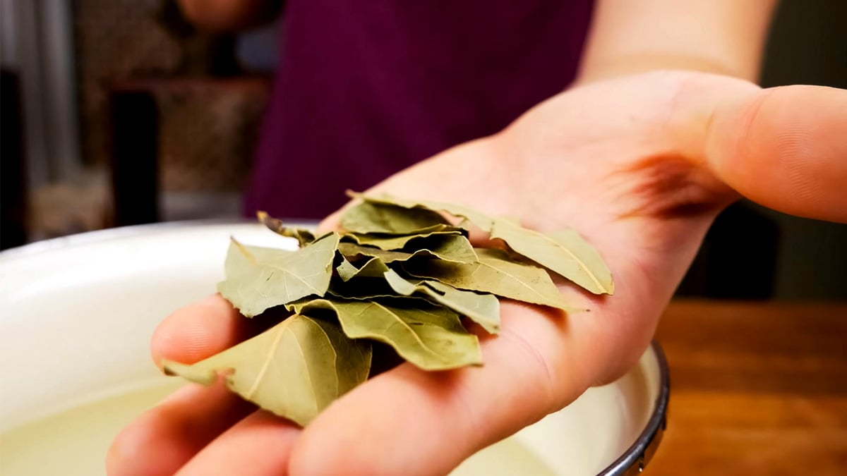 « En ajoutant une feuille de laurier, j’ai enfin amélioré la saveur et la digestion de mes plats mijotés »