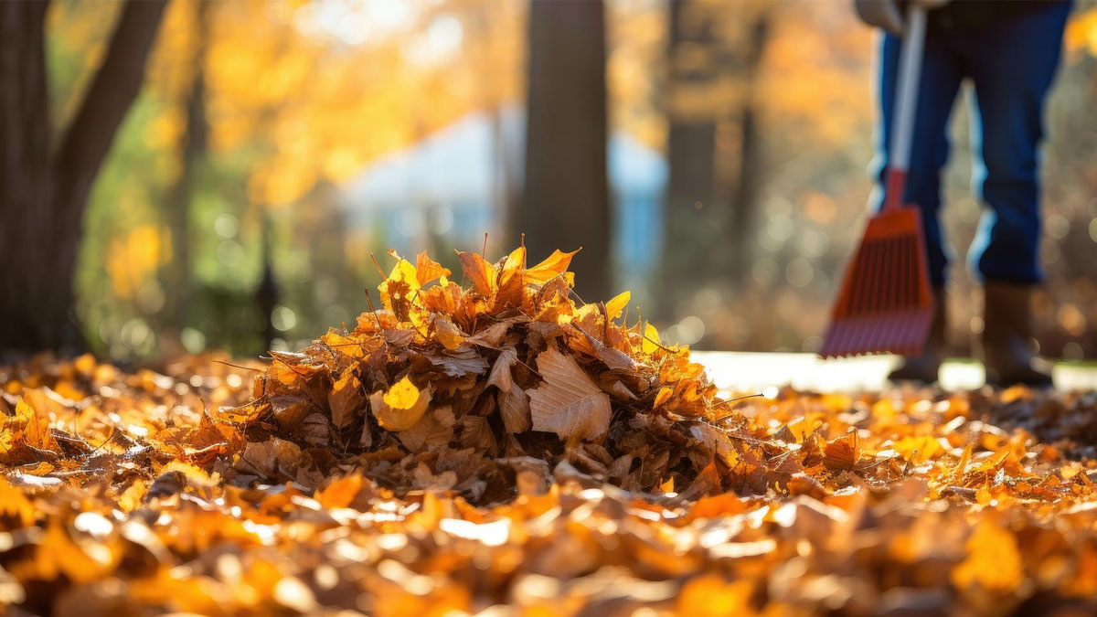 Fini les corvées de feuilles mortes : la méthode infaillible d’un professionnel pour s’en débarrasser