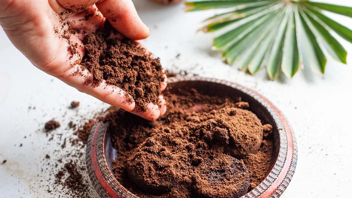 Ne jetez plus votre marc de café ! Ce trésor naturel fertilise vos plantes et éloigne les insectes