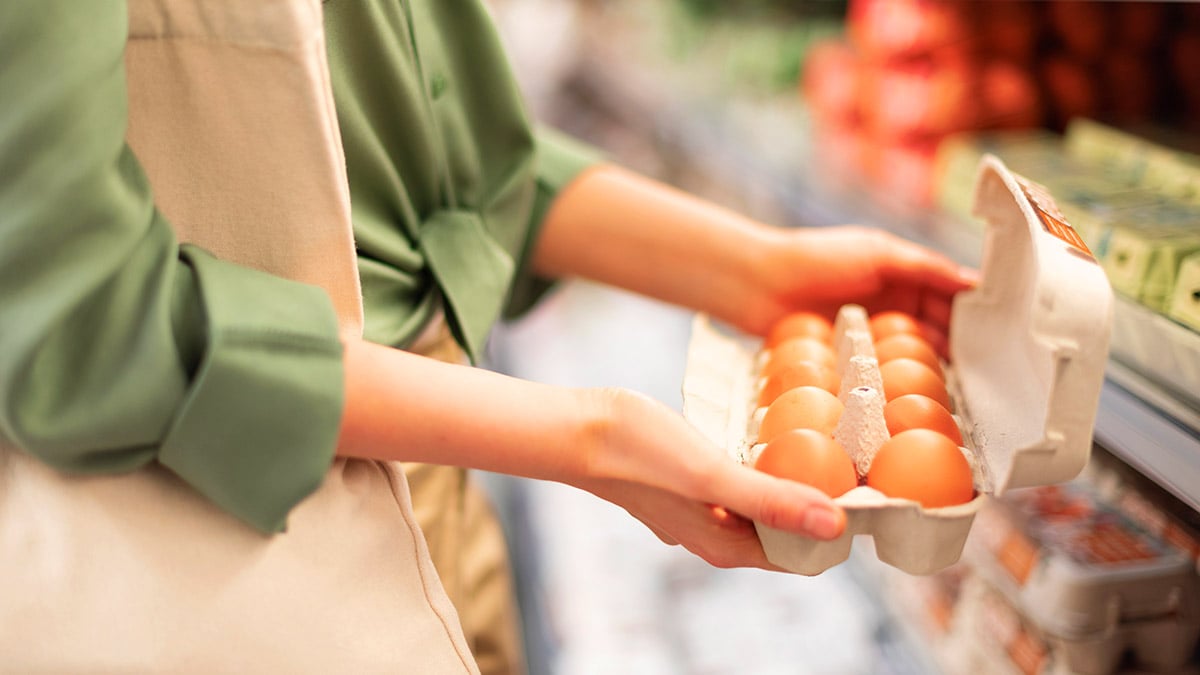Œufs de supermarché : le secret pour savoir si la poule a été élevée dans de bonnes conditions