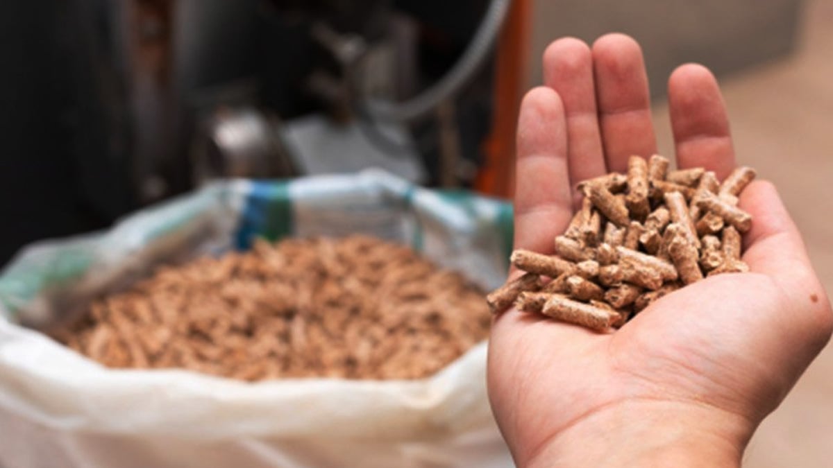 Carrefour casse les prix : voici la meilleure offre de sacs de pellets pour cet hiver