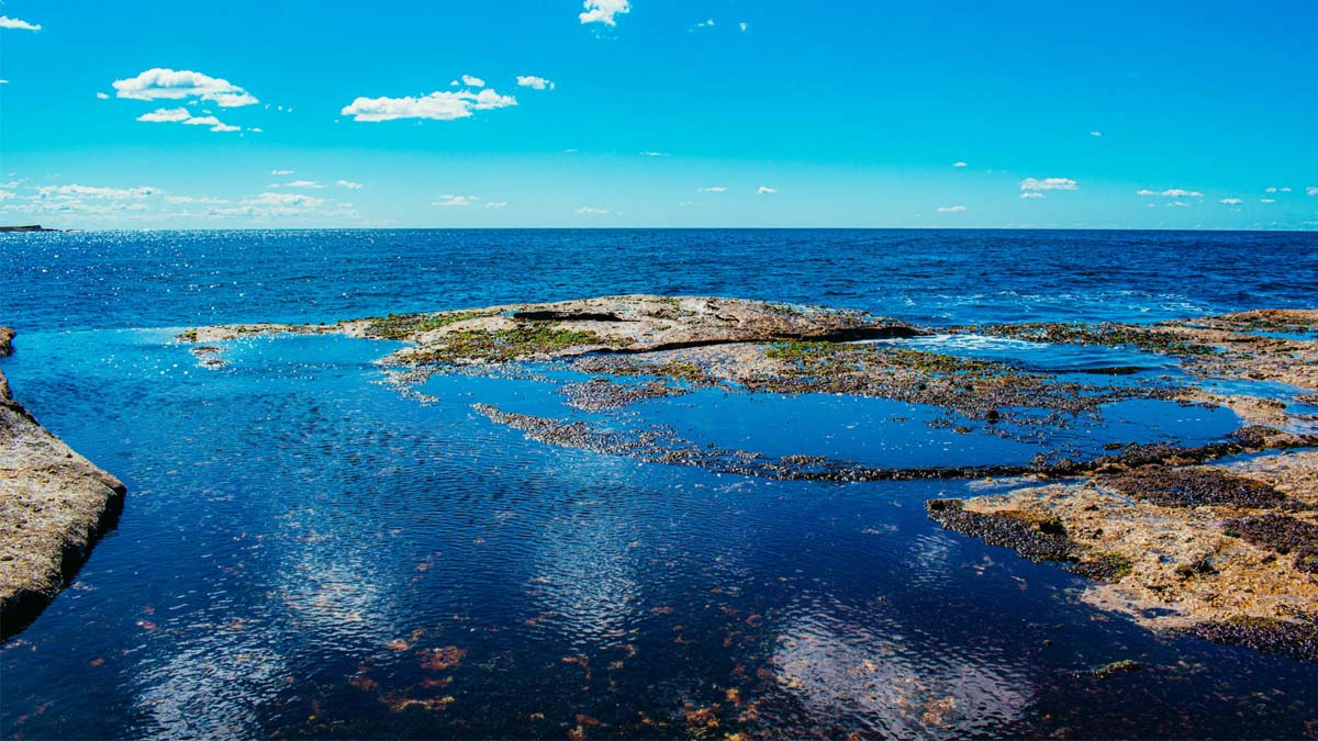 « La France doit se tenir prête » : l’eau de mer bientôt dessalée, les autorités passent à l’action