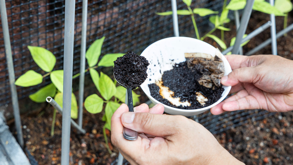 Le saviez‑vous ? Le marc de café ne sert pas qu’au jardin, il aide aussi à lutter contre l’humidité