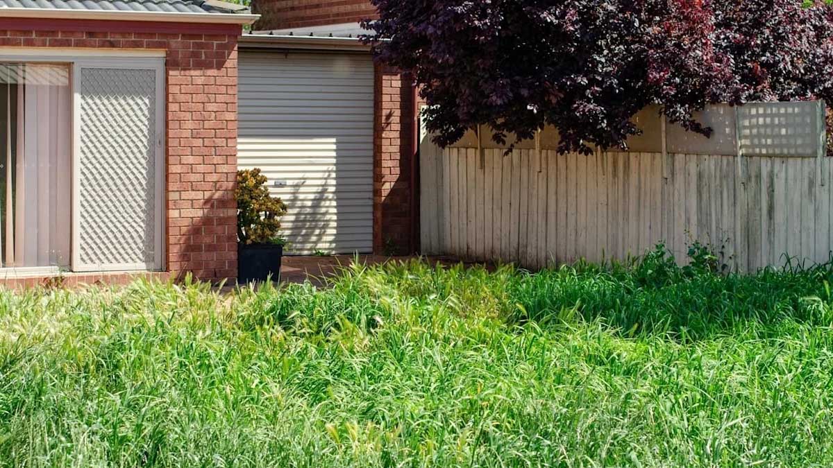 Les squatteurs ne s’arrêtent plus : après les maisons et les forêts, ils s’attaquent à un lieu encore insoupçonné