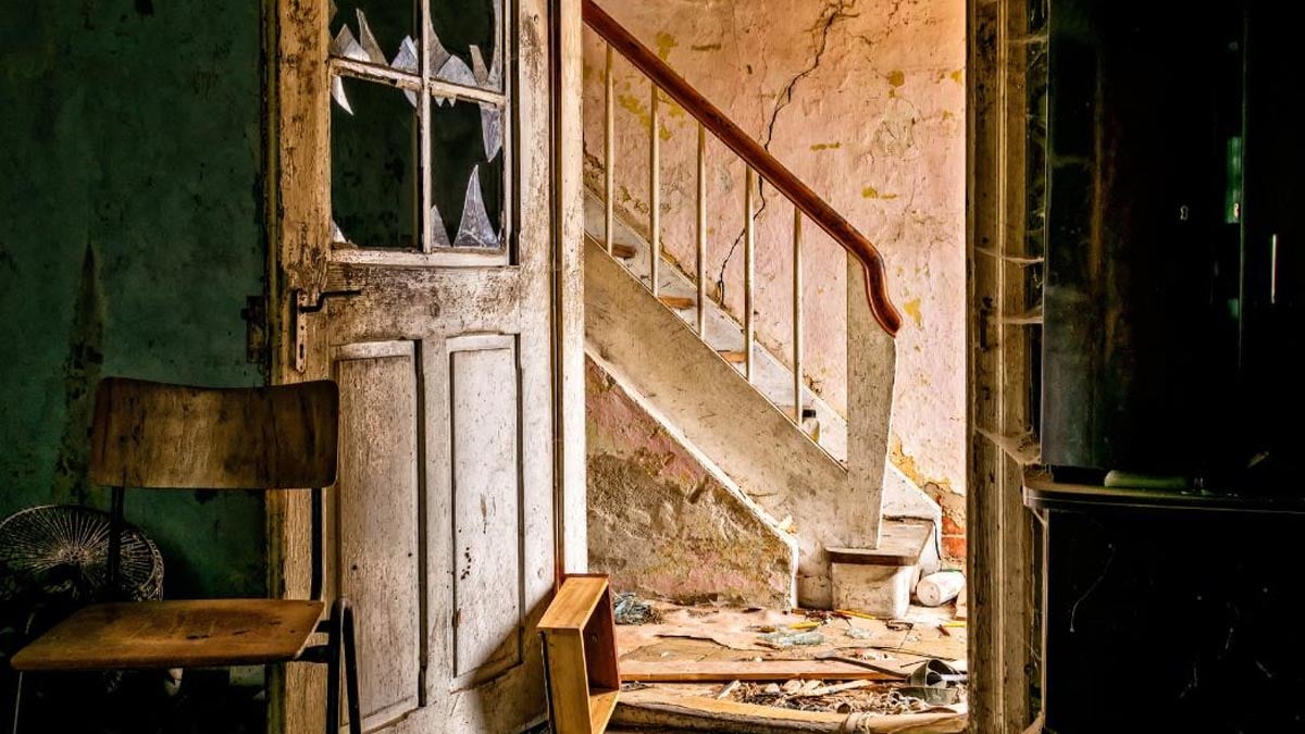 À Brive, elle croyait retrouver sa maison… mais les squatteurs ont porté plainte après l’attaque au nid de guêpes