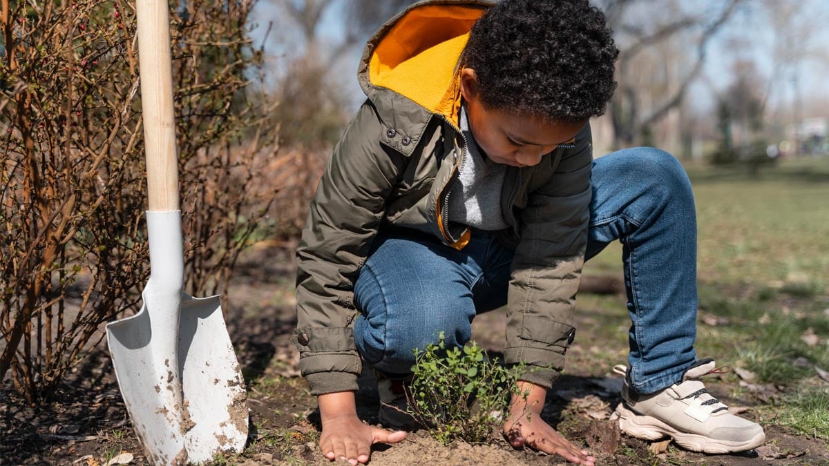 Mi-décembre : ce fruitier discret à planter maintenant pour obtenir des kilos de petits fruits dès l’été