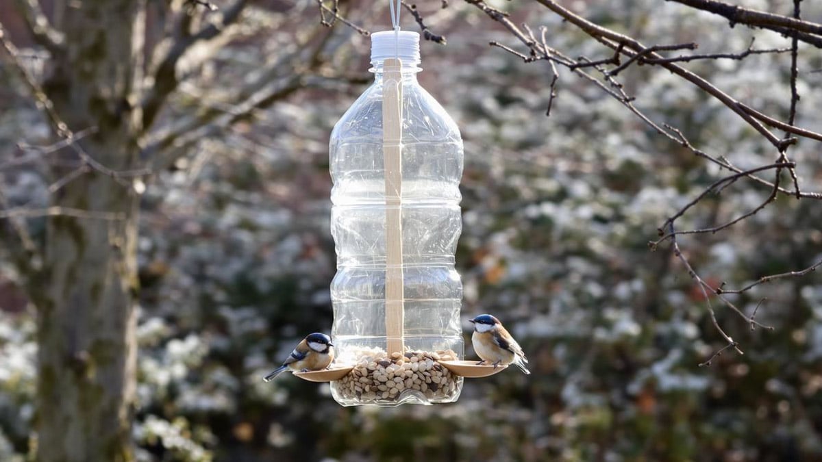Ne jetez plus vos bouteilles plastiques : elles font d’excellentes mangeoires pour les oiseaux du jardin